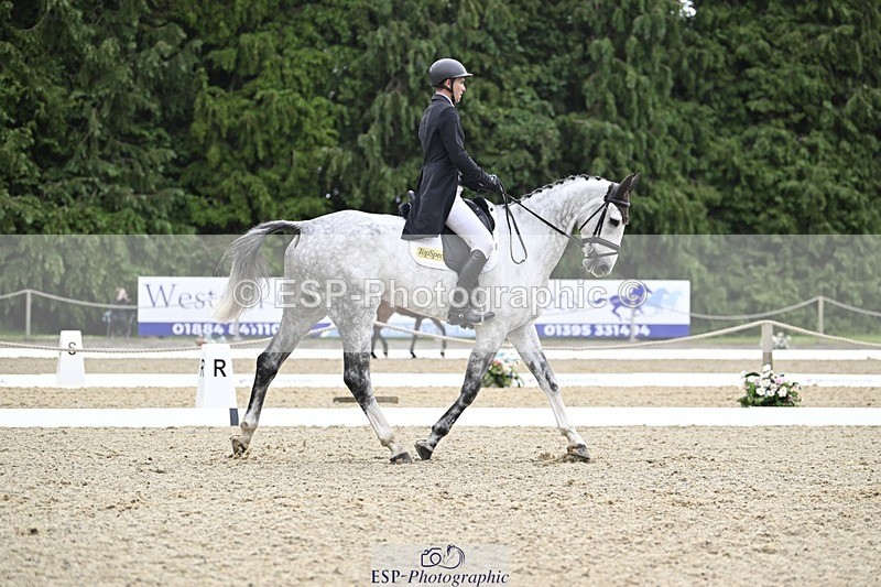 000101-215804-04504 - 404-DEERPAIRC_REVELRY-Max_Warburton