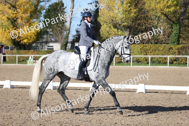 20251102-0788 - Class 5 - Elementary 5