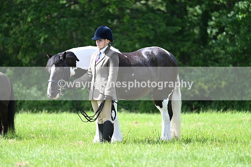 WJ7_1434 - Class 11 Condition & Turnout