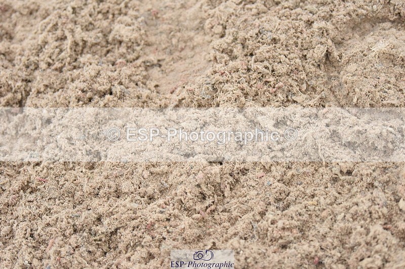 230916A-111136-04041 - Cls 14 Snr Foxhunter