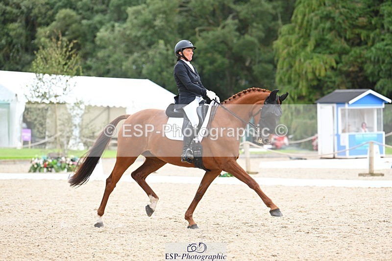 230813-143011-07776 - Cls 13 Medium Bronze 13.15 to End