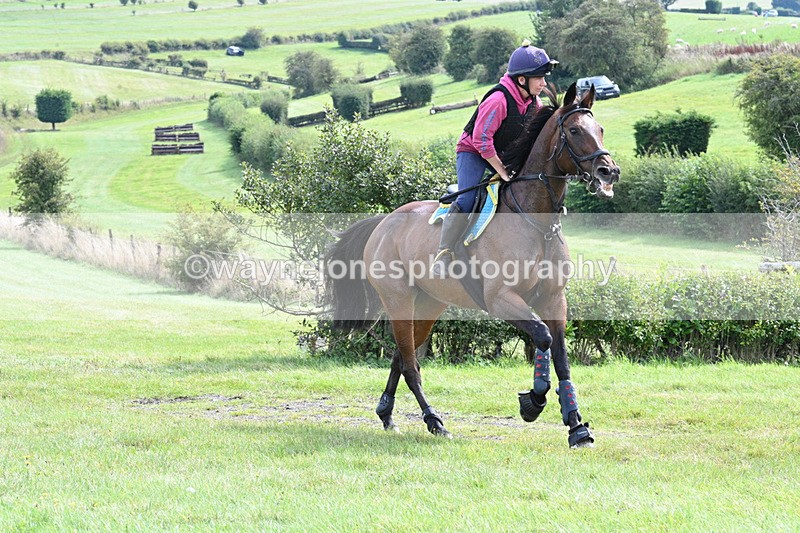 WJ7_7055 - Time 13:00 to 13:12