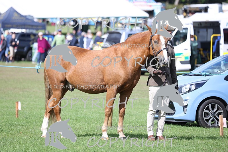 APP_2782 - Class 10a/b M&M in hand