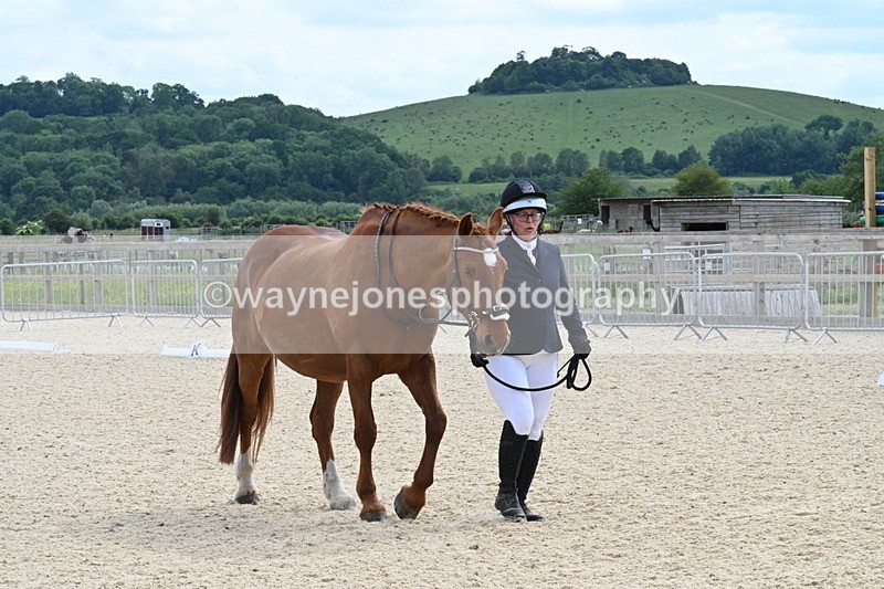 WJ7_7992 - Time 15:39 to 16:08