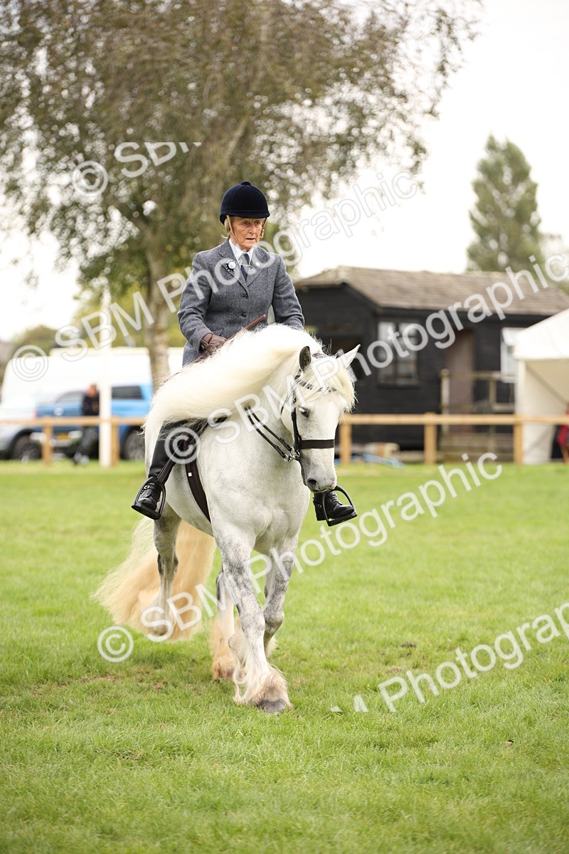 SBM_73478 - S68 - Traditional Cob Ridden