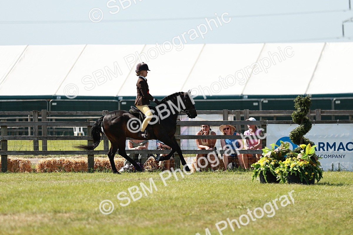 SBM_18523 - Class 112-113 - BSPS LIHS Working Sports Pony
