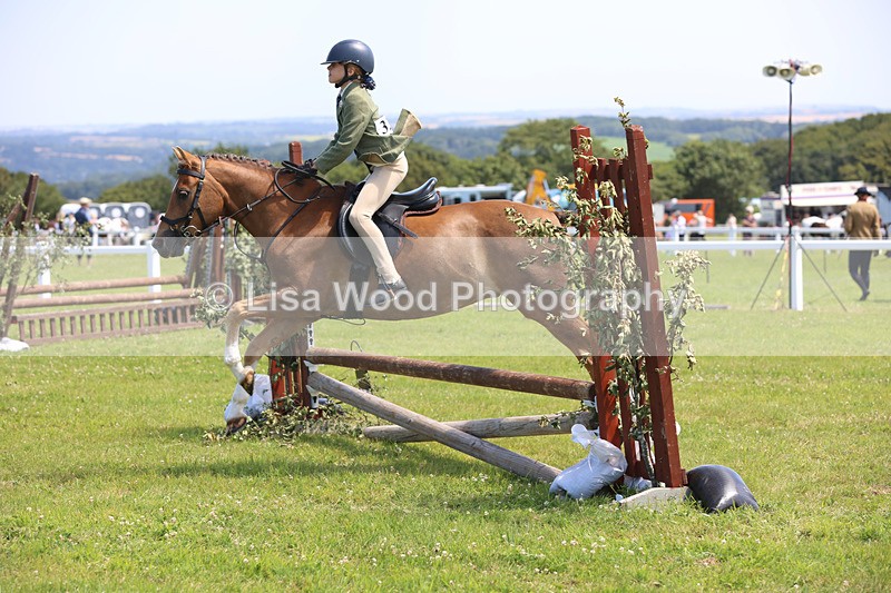 JPP_2664 - Class 21: Working Hunter 60cm