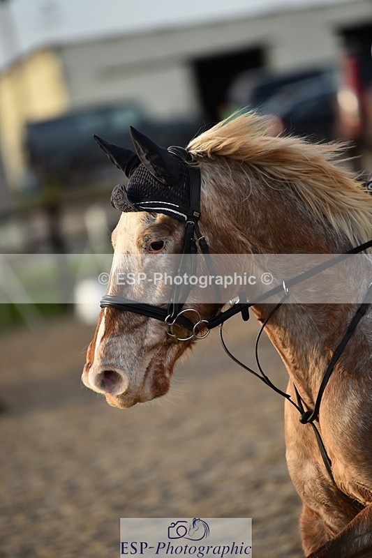 231210-144410-00903 - Cls 5 70cm