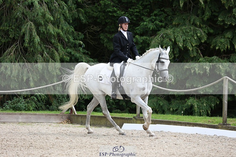 230812-151930-05109 - Cls 5 Novice Bronze 15.00 to End