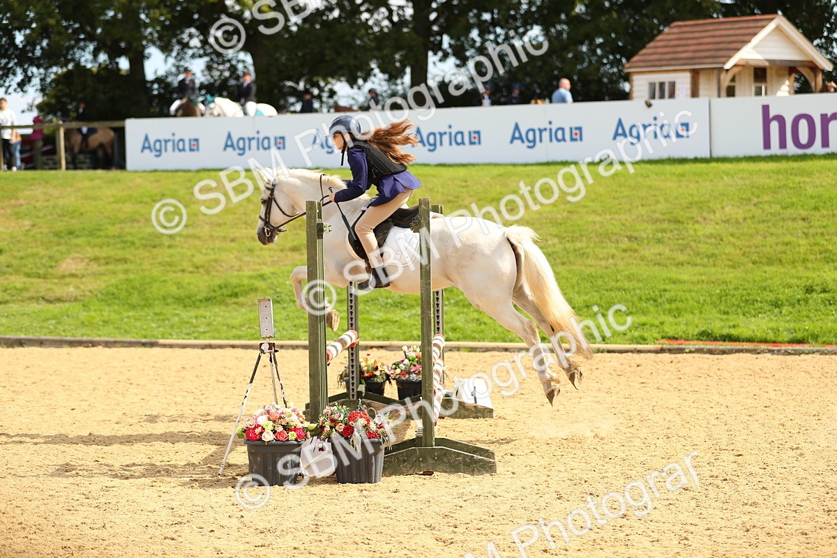 SBM_66030 - J17 - Junior Pony 80cm Championship