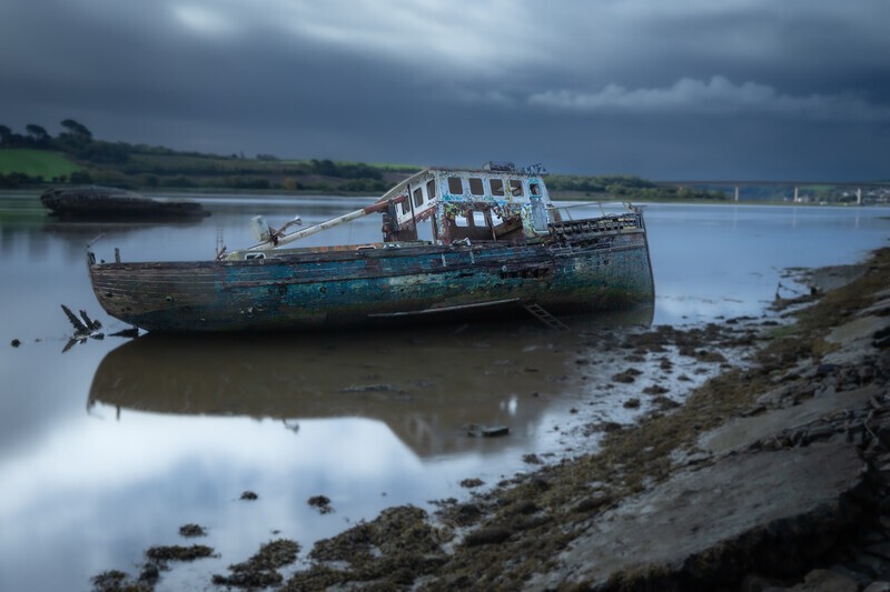 Decay - Latest Images