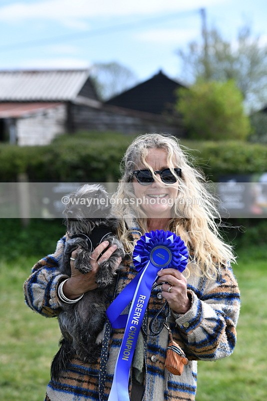 WJ5_0818 - Best in Show Championship