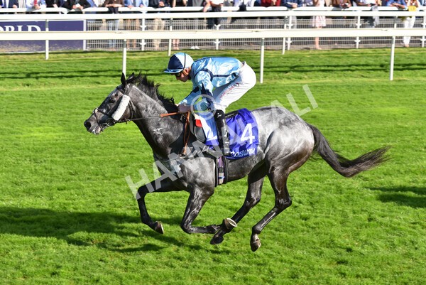 yr08102021r3-35 - Race 3 3.15pm Download The Casumo App Today Handicap