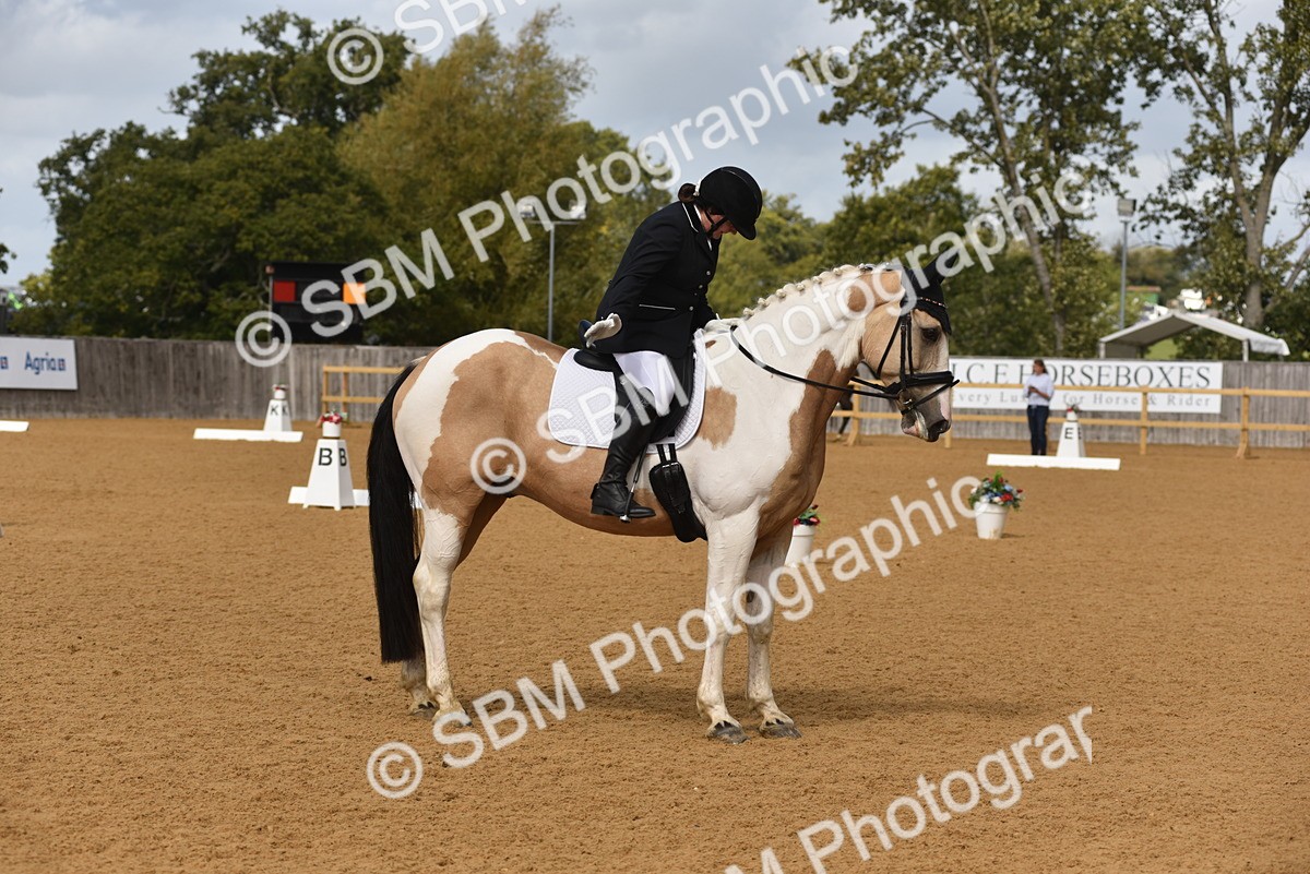 SBM_07768 - D15 - Small Tour Championship Novice 1