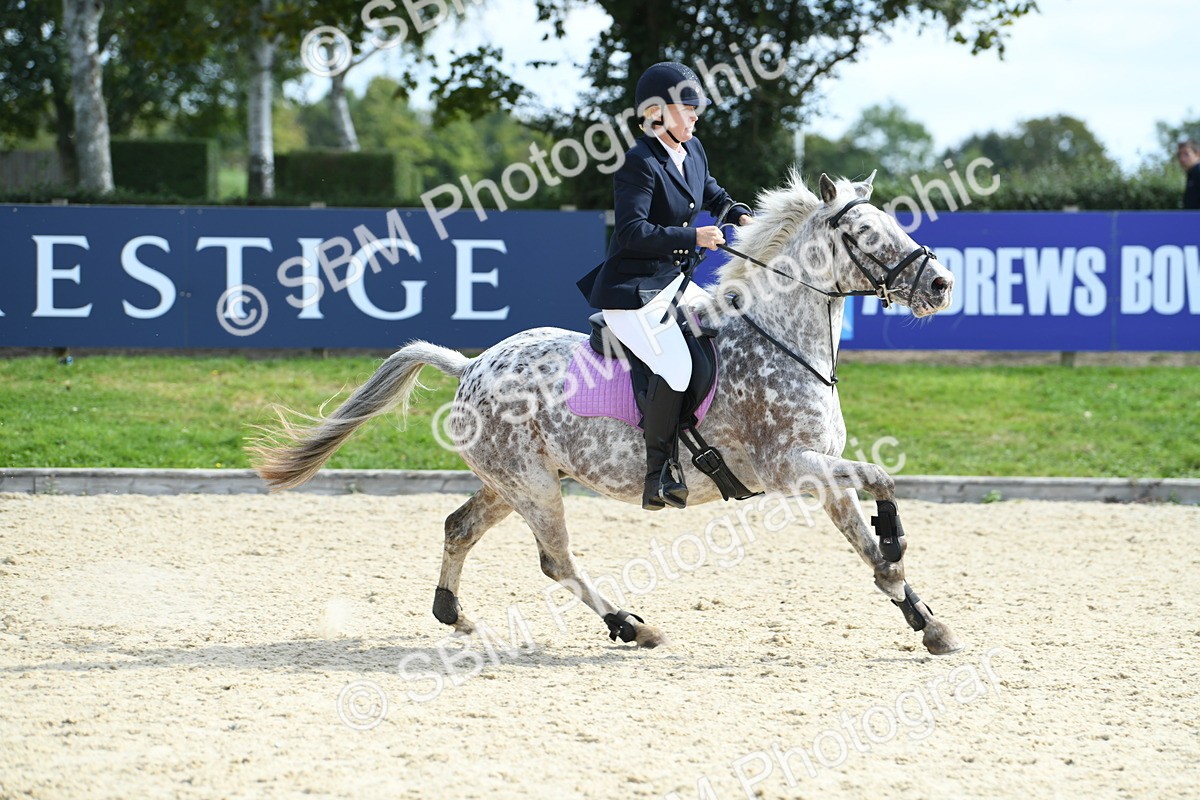 SBM_64716 - J48 - Pairs Jumping Open 70cm & 85cm