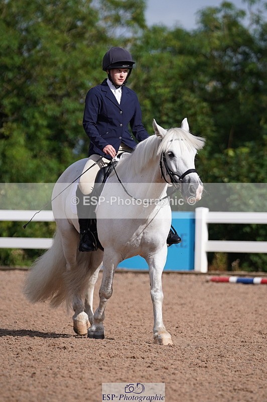 240809A-093238-00266 - Dressage Competition