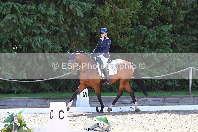 240809-111302-00532 - 133-Dawn.Bear-First.Taylor.Made