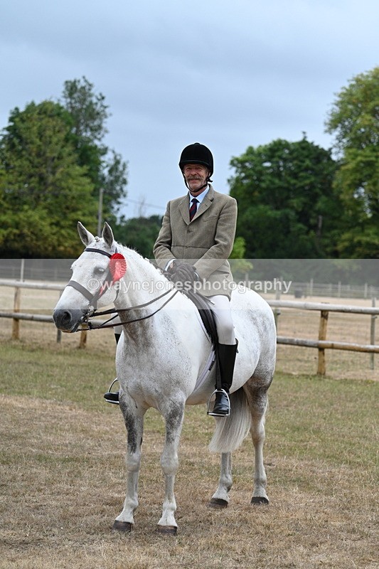 WJ7_0981 - Class 7 Riding Club Show Horse