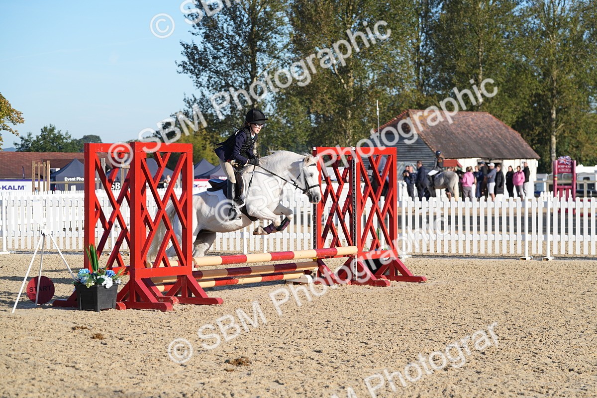 SBM_34376 - J62 - Clear Round 50cm
