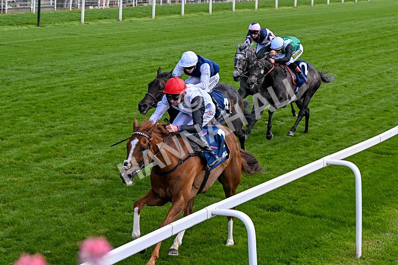 230526-Race 4-Danielle-0497 - Race 4 15.15pm William Hill Bronte Cup Fillies' Stakes