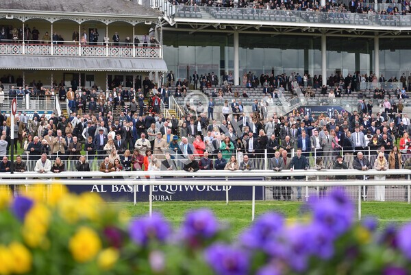 yr22052021r1-21 - Race 1 2.05pm William Hill Pick Your Places Stakes