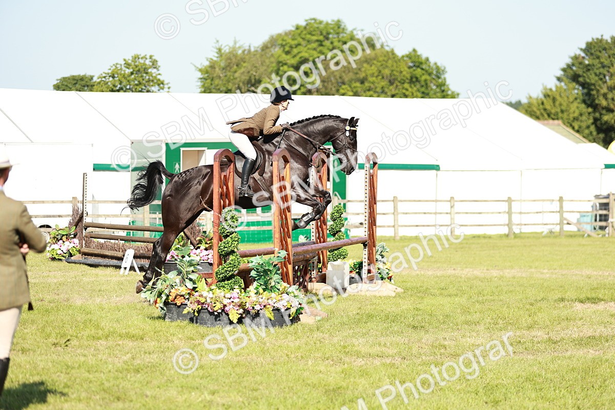 SBM_19154 - Class 115-116 - LIHS BSHA Rising Star Working Hunter & Show Horse