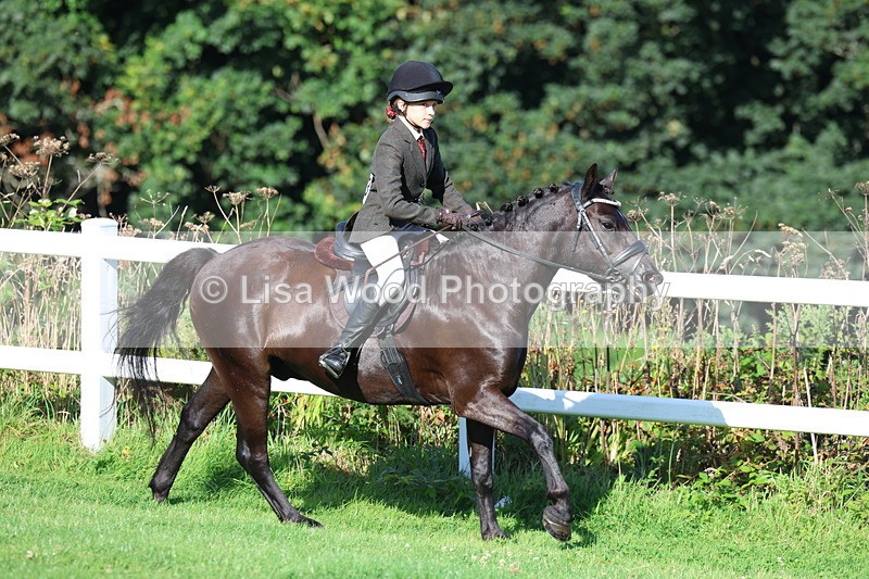 3E7A7587 - Class 1: Novice Working Hunter Pony