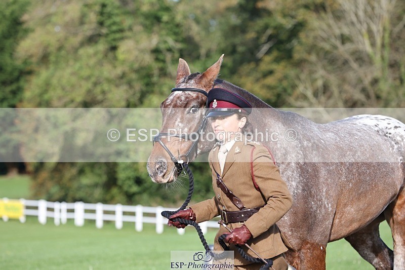 241027-102521-15880 - 501-Captain.Holly.Day-MUSTANG