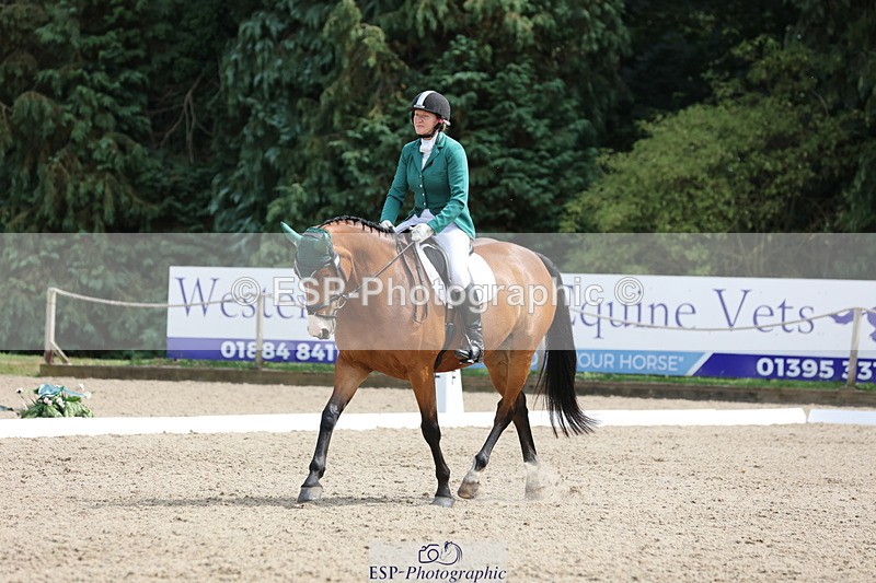 250718A-152751-02566 - 152-Tracy.OKennedy-Wylye.Harlequin