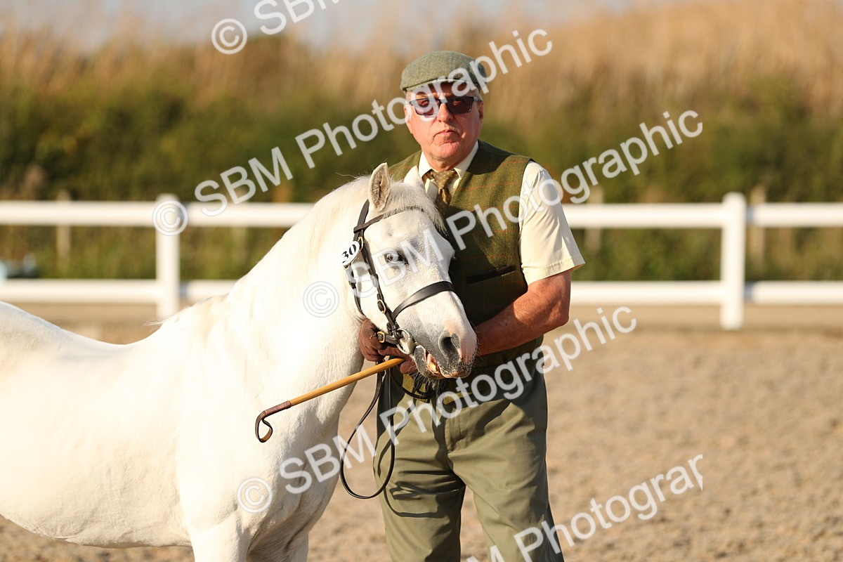 SBM_09014 - Class 29 IH Veteran Pony