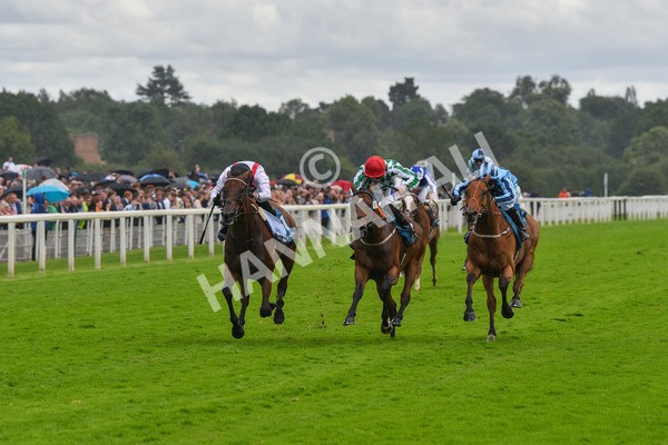 150723-Race 4-Hamish-8700 - Race 4 3.45pm John Smith's Silver Cup Stakes