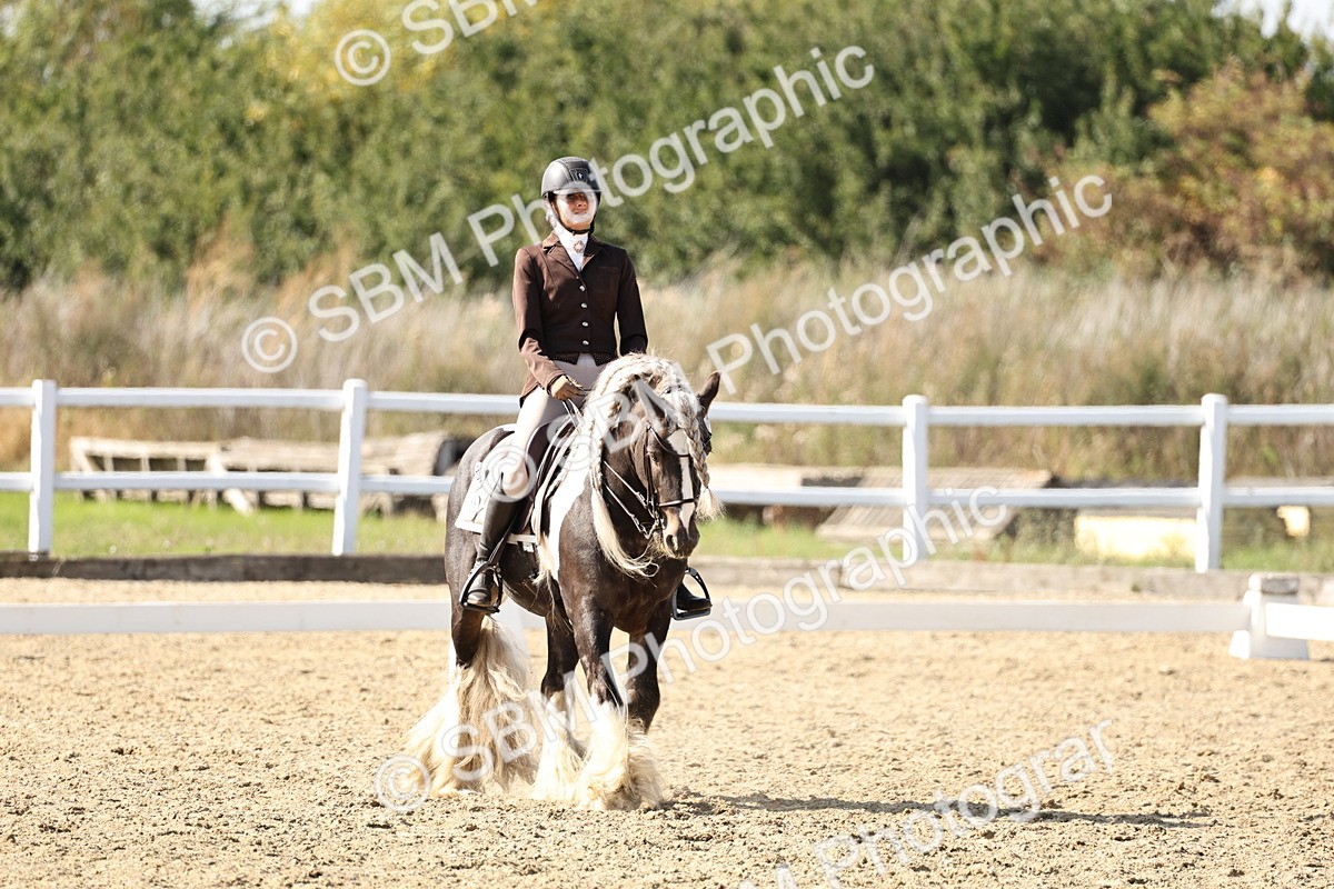 SBM_015265 - Class 9 - Advanced medium 3