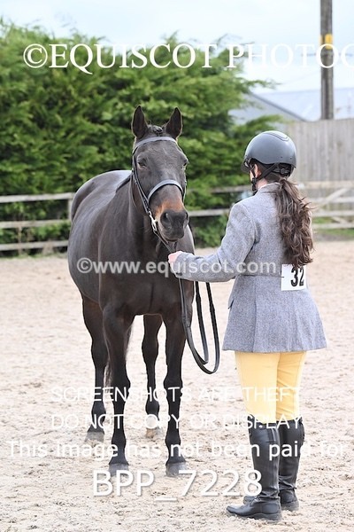 BPP_7228 - RING 1  (RIDDEN HORSES / IN HAND / VETERAN ETC)