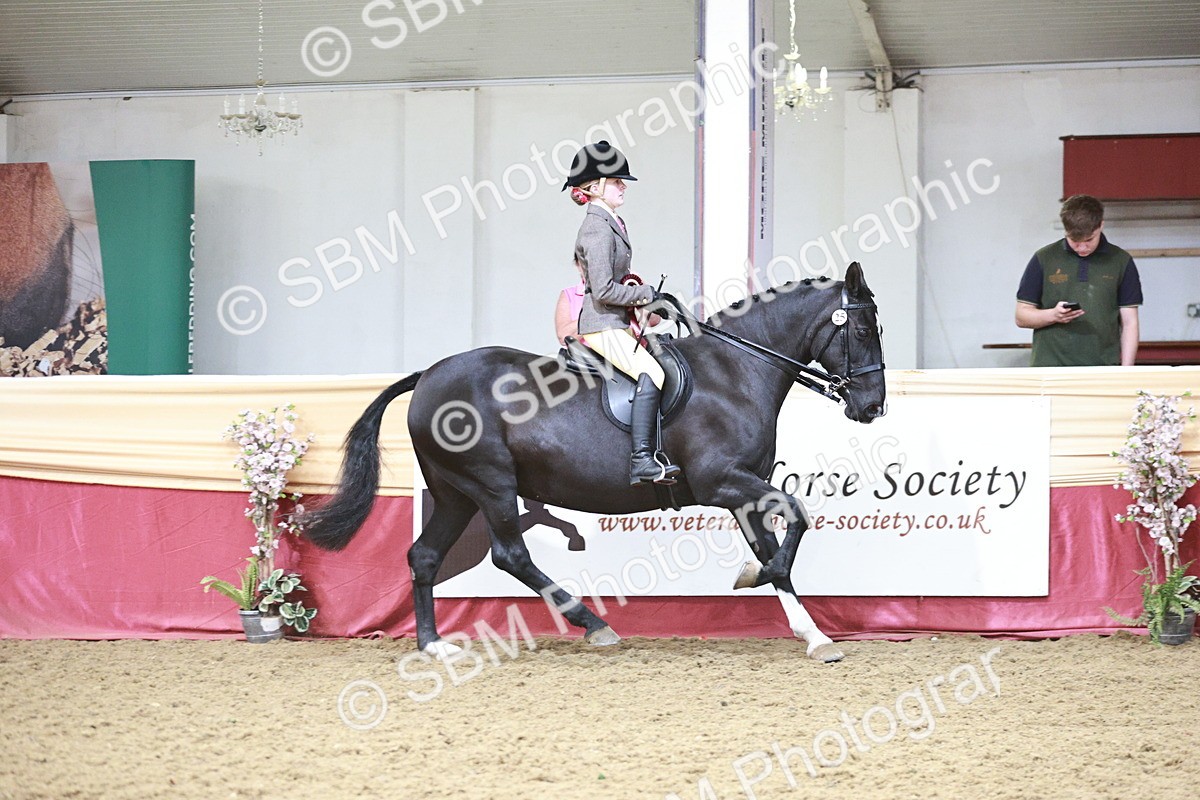 SBM_08661 - Regional Ridden Champ