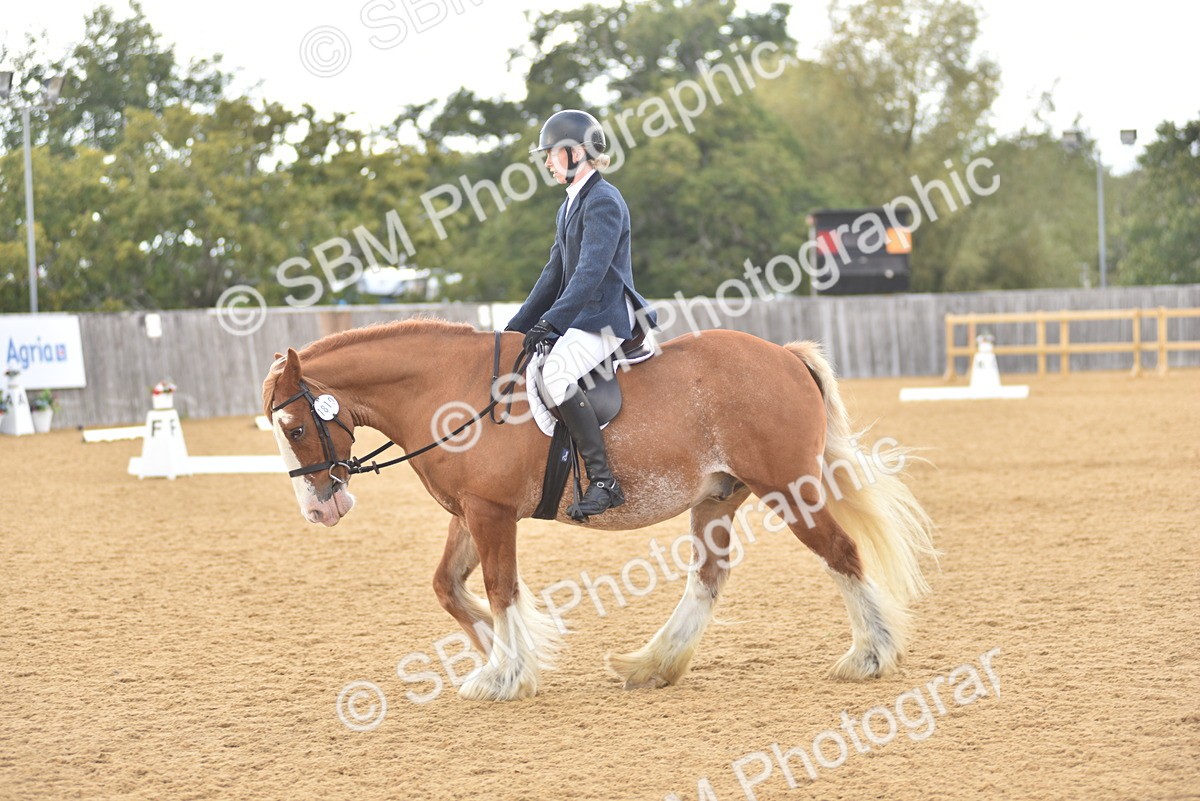 SBM_29626 - D16 -Small Tour Championship Novice 2