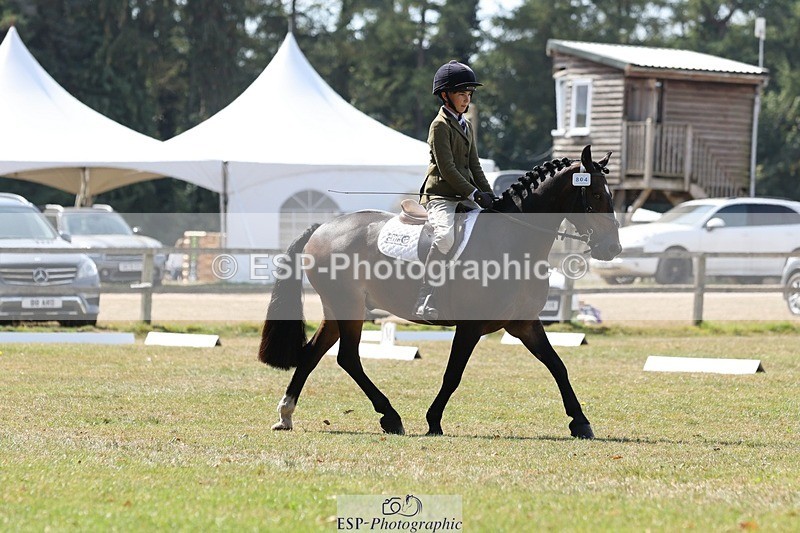 250823A-123153-29811 - Arena C