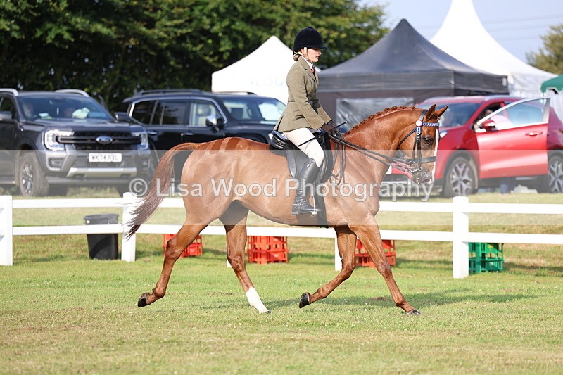 3E7A7667 - Class 1: Rising Star Small Hack/Riding Horses