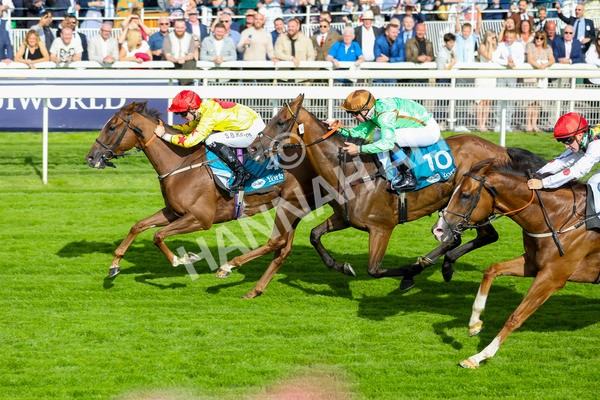 280723-Race 2-Quest For Fun-2745 - Race 2 5.30pm eventmasters.co.uk Handicap