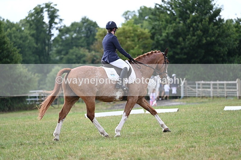 WJ7_5905 - Time 11:52 to 12:10