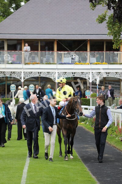 yr11062022r6-33 - Race 6 4.15pm Reg Griffin Appreciation EBFstallions.com Maiden Stakes