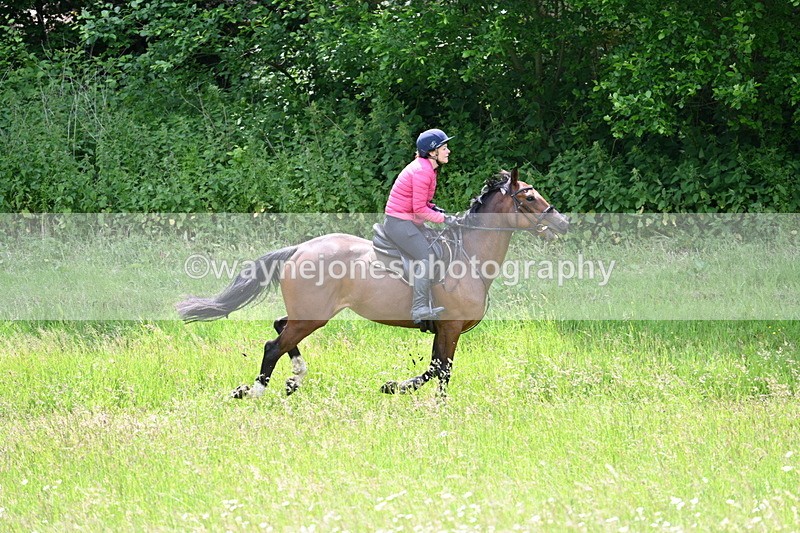 WJ7_8810 - Group 4 11am