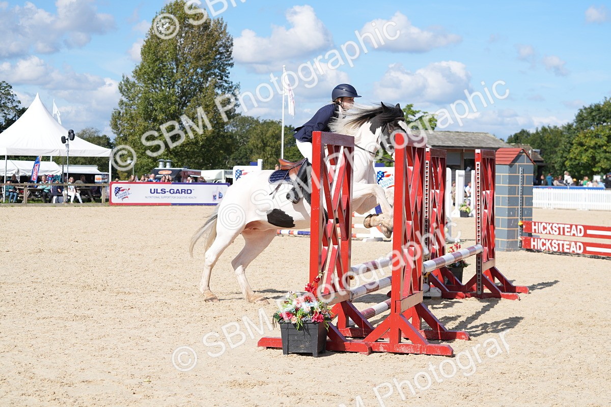 SBM_38843 - J21 - Junior Horse 60cm Championship