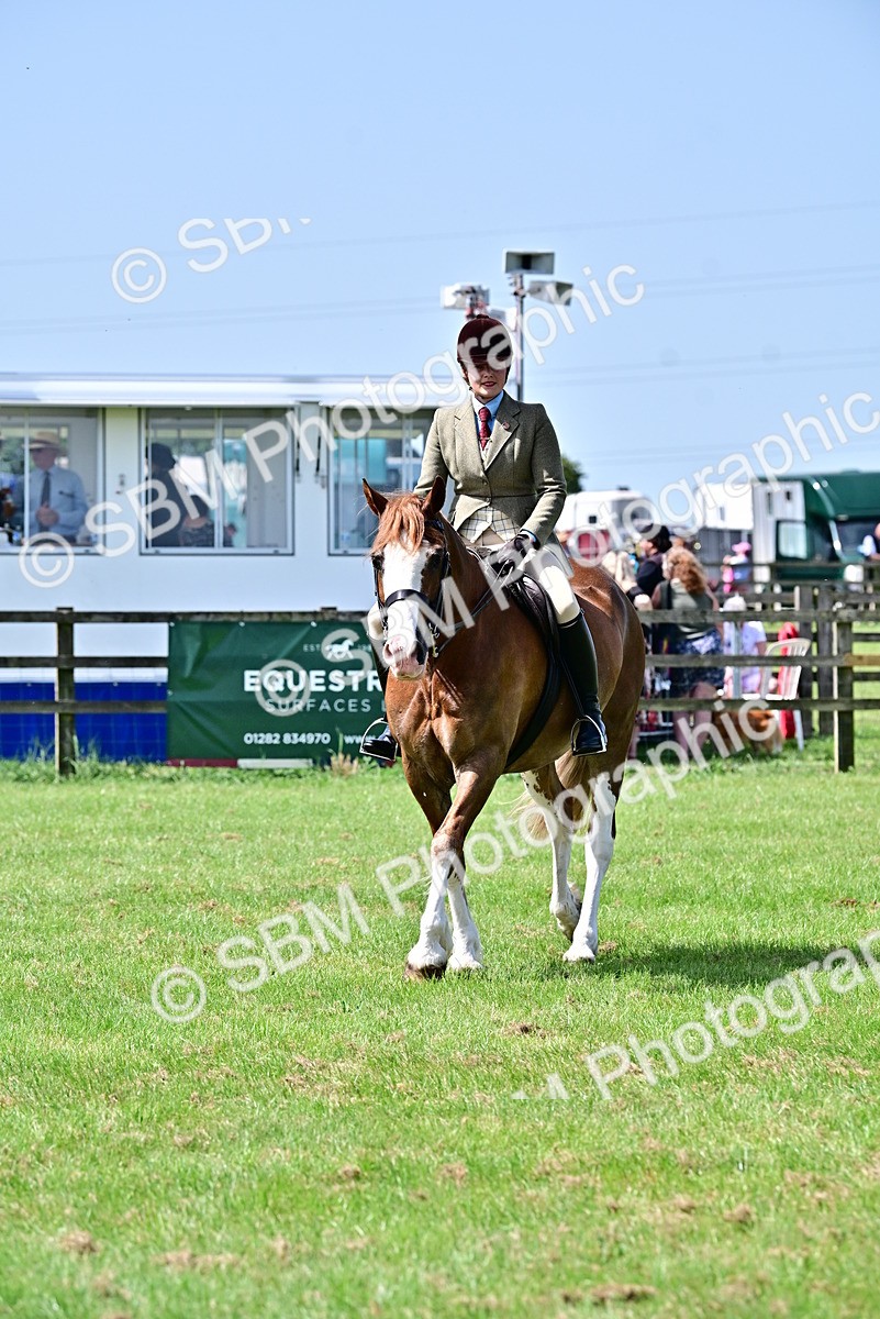 SBM_03848 - Class 58 - TSR  Ridden Veteran Amateur of the year