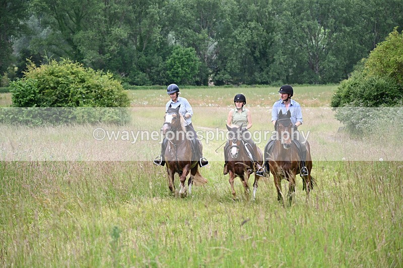 WJ6_8449 - Camera 1 Gallops