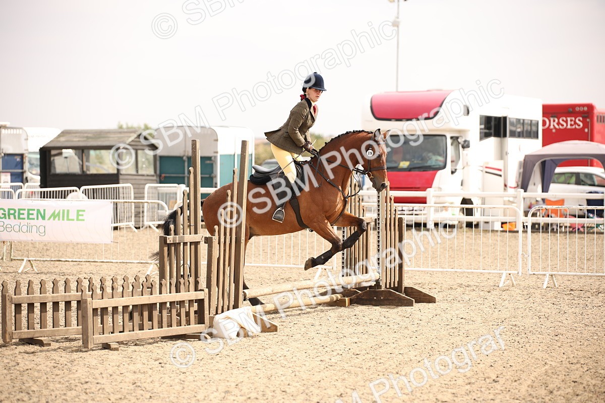 SBM_12901 - Class 406a - Working Veteran 50cm (15-19)