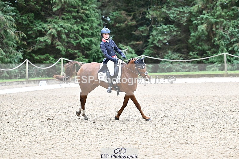 251022A-144830-00134 - C-206-Madison.Tapner