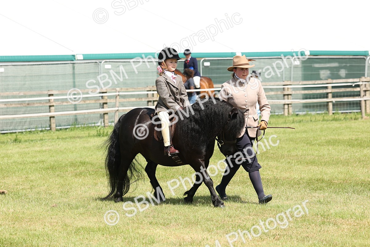 SBM_05258 - Class 24-25 - Mountain & Moorland In Hand Lead Rein and First Ridden
