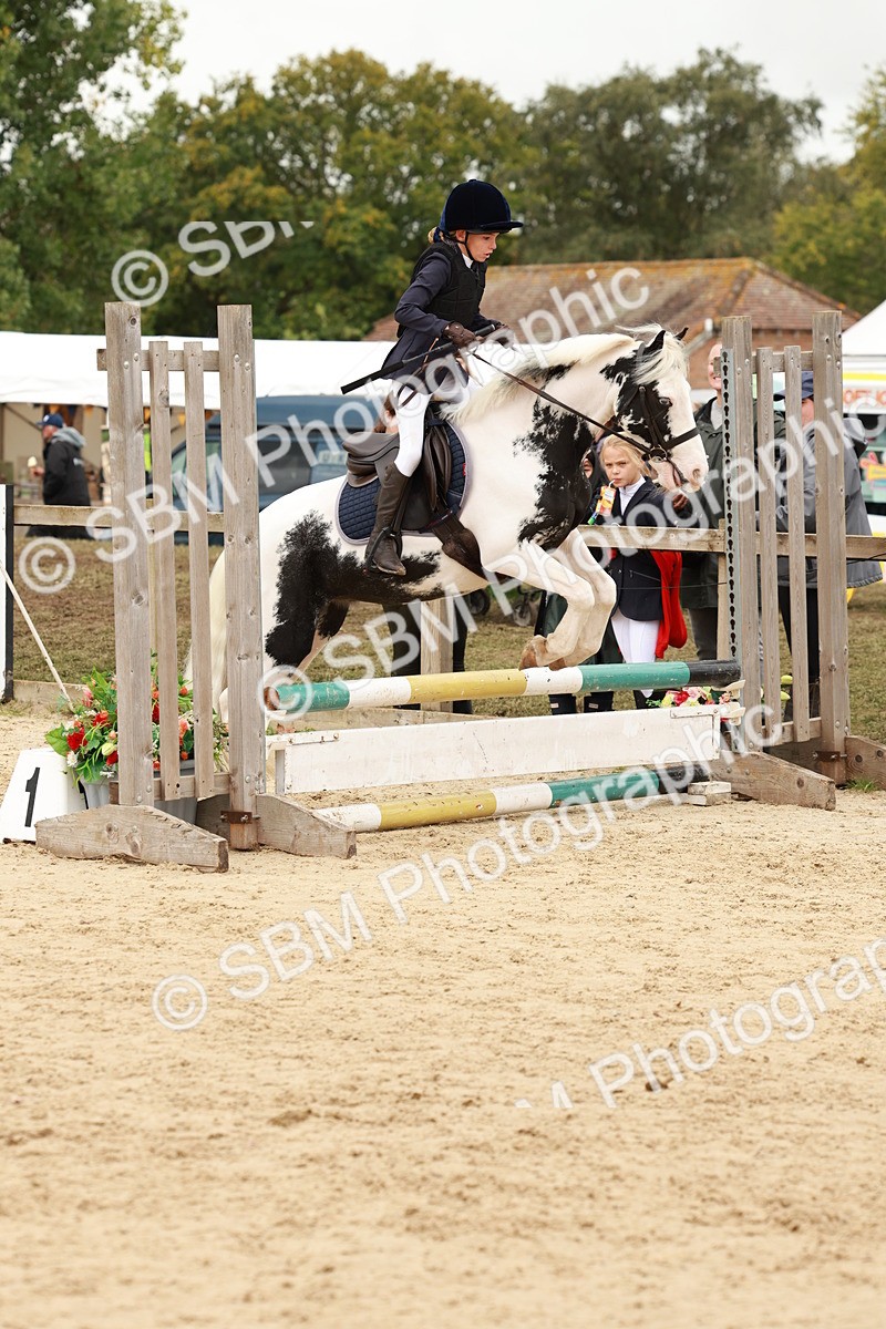 SBM_62125 - J12 - Junior Pony 55cm Championship
