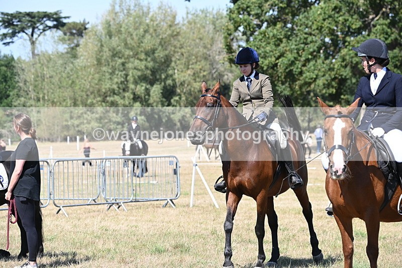 WJ6_8419 - Class 37a Best Loan Pony Ridden