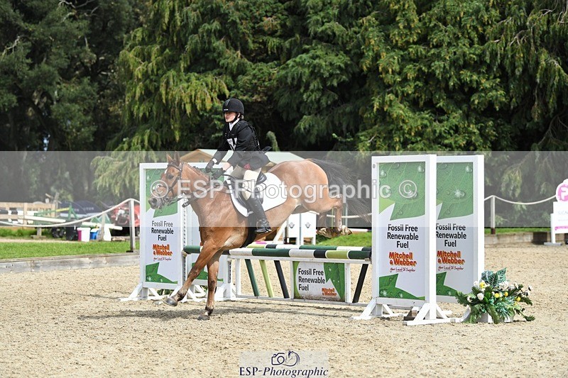 230827-133447-25989 - SJ 13.30 to End